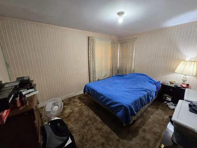 Bedroom with striped wallpaper and old shag carpet